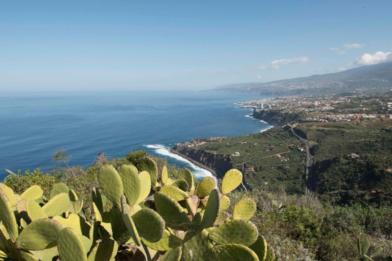 Casas En Finca Ecologica La Espiral, Naturaleza, Calma Y Vistas Al Mar, Icod el Alto 外观 照片