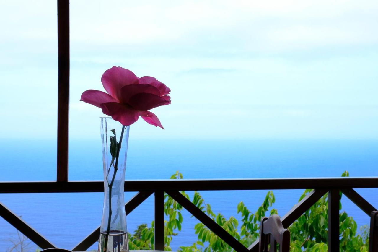 Casas En Finca Ecologica La Espiral, Naturaleza, Calma Y Vistas Al Mar, Icod el Alto 外观 照片