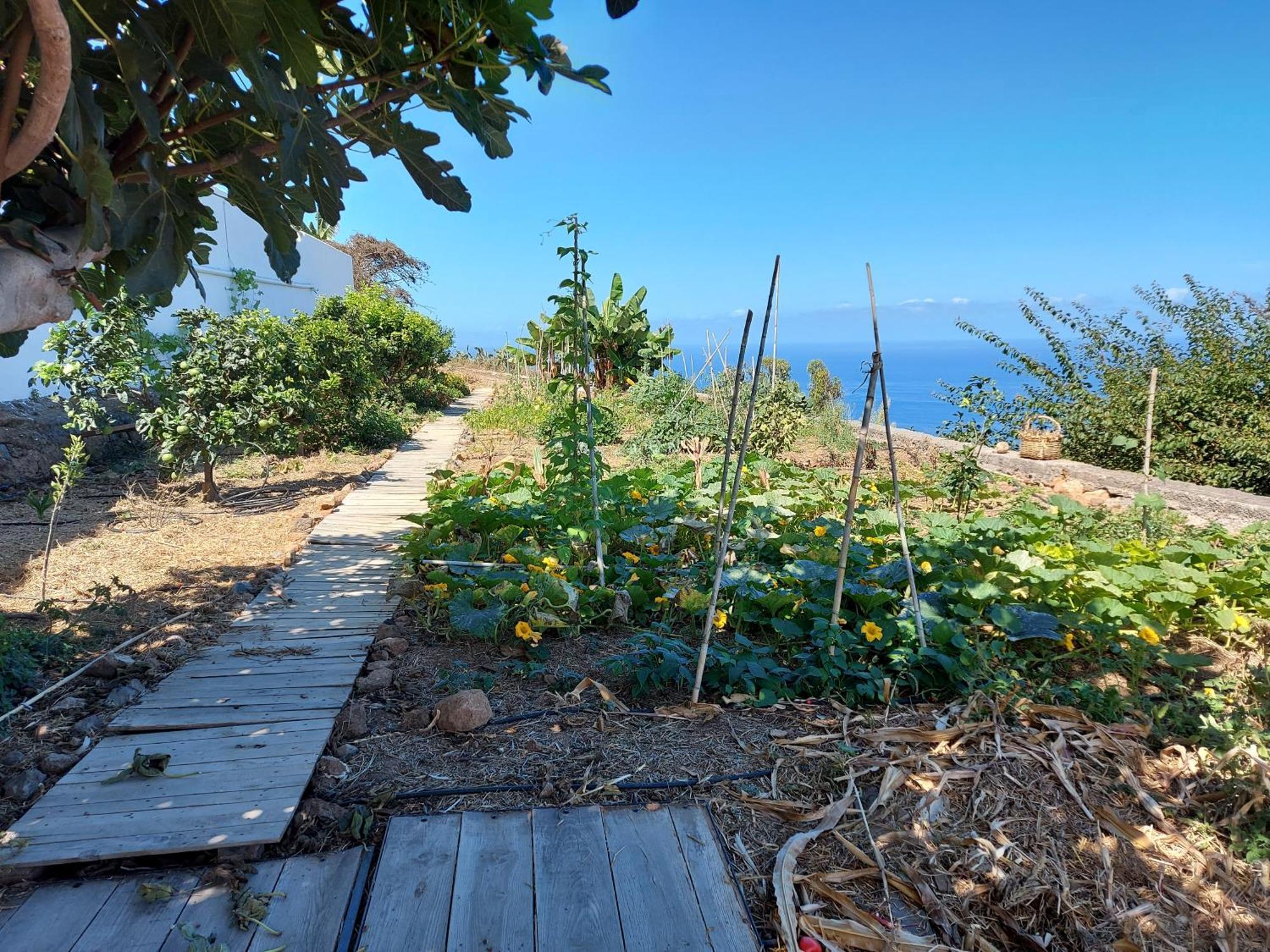Casas En Finca Ecologica La Espiral, Naturaleza, Calma Y Vistas Al Mar, Icod el Alto 客房 照片