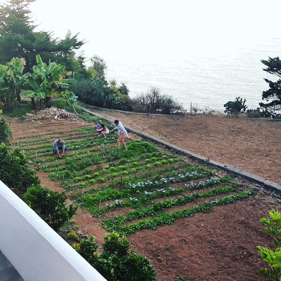 Casas En Finca Ecologica La Espiral, Naturaleza, Calma Y Vistas Al Mar, Icod el Alto 外观 照片